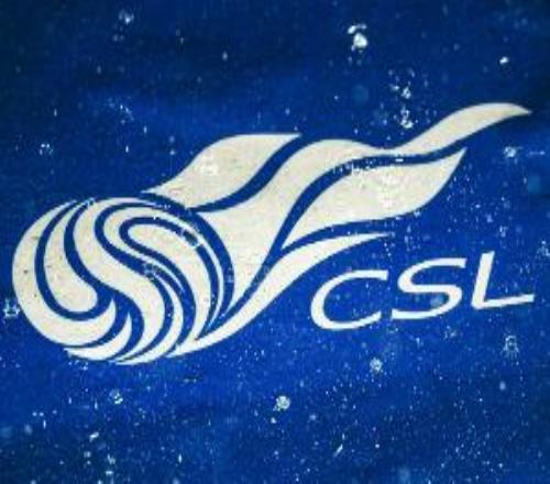 苏东谈中超：新力量经过这个赛季洗礼，很有可能会改变联赛格局