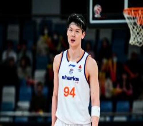 媒体人：32岁老将王哲林展现无与伦比求胜欲这个冠军是他应得的