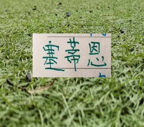 反差大！北京国安从去年的一方诸侯争霸16轮不败