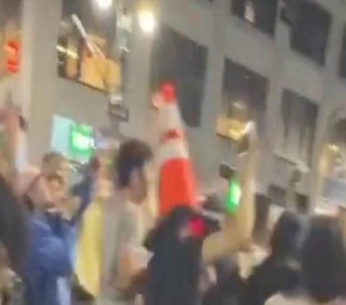 路障僵尸尼克斯球迷庆祝时，被抛向空中的路障精准落在球迷头上