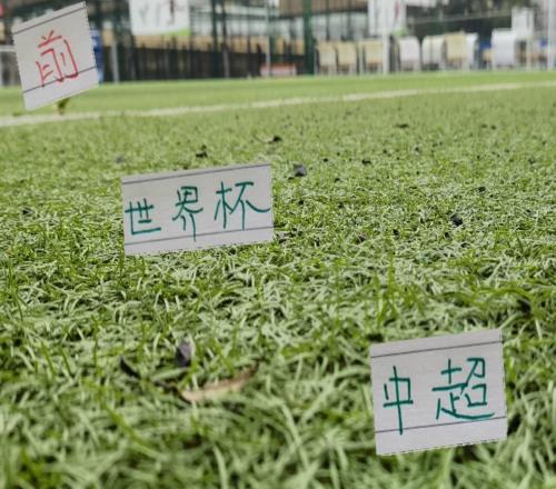 美加墨世界杯！中超效力过外援还是北京国安多