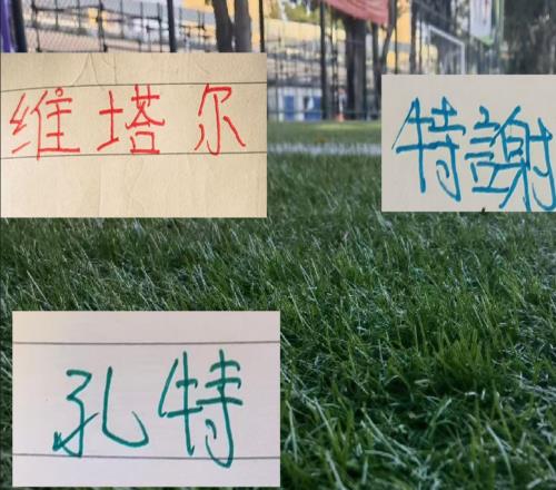 中超豪门关键外援都归队训练申花是特谢拉北京国安是孔特
