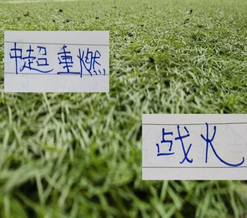 本周末中超重燃战火！大连英博的比赛才是申花19号验金石