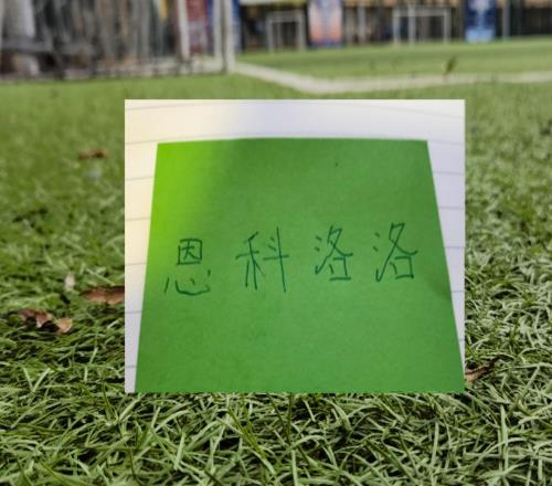 恩科洛洛具备出场条件或许第16轮比赛，北京国安能凑齐外援