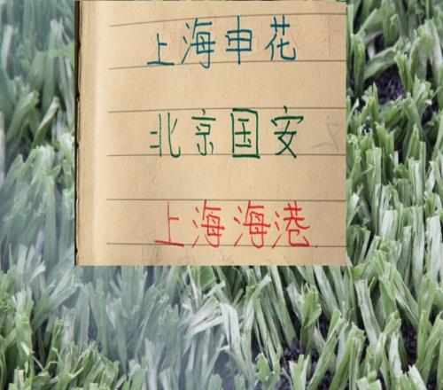 成都、北京国安、海港都是5个外援进入比赛大名单申花只能等7月