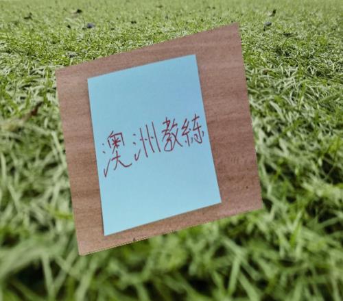 澳大利亚世界杯晋级本轮有澳籍教练海港北京国安成都都赢球