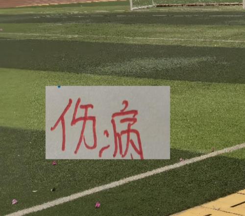 申花今年耗损有点多！联赛没打前就有伤病