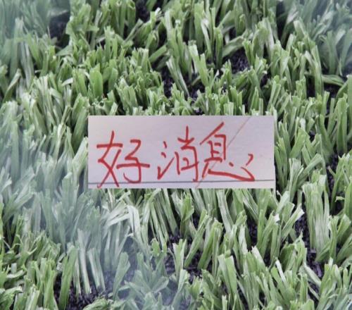 好消息！北京国安10号发文报平安之前入选5月官方最佳候选人