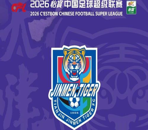 津门虎vs新鹏城票务：本场为B类赛事，价格为80380元