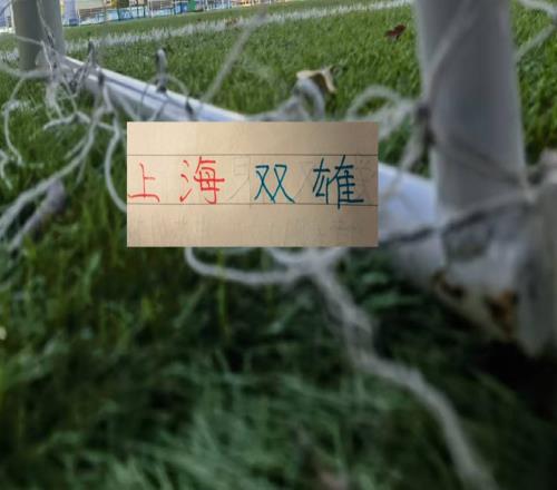 上海双雄6月全胜！海港全华班还是五外援都赢球