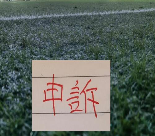 第十一期裁判评议！北京国安被申诉2次申花被申诉1次