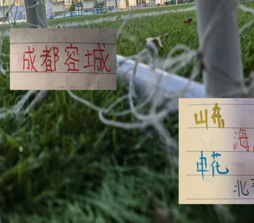 上半程北京国安面对海港成都泰山申花一场未赢