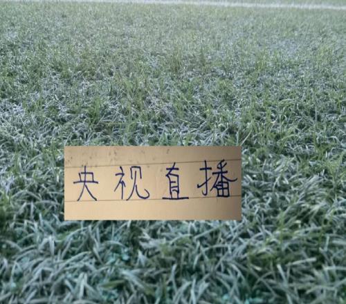 中超第17轮转播计划表CCTV直播比赛有申花还有北京国安