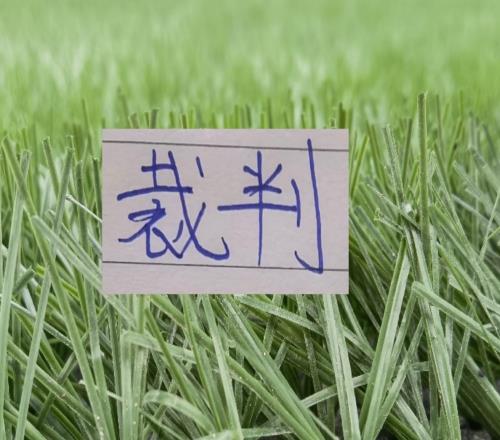 第17轮裁判安排公布北京国安跟山东泰山重磅比赛主裁是单丹奥