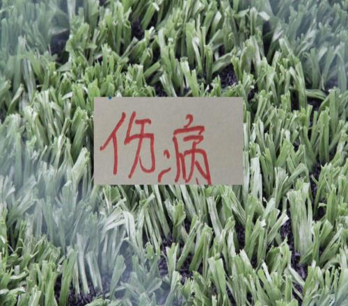 京鲁大战各有主力上不了！北京国安是张稀哲+王刚