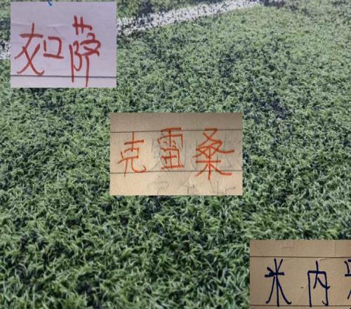 第17轮无法出战强队外援！领头羊有如萨申花米内罗山东是克雷桑