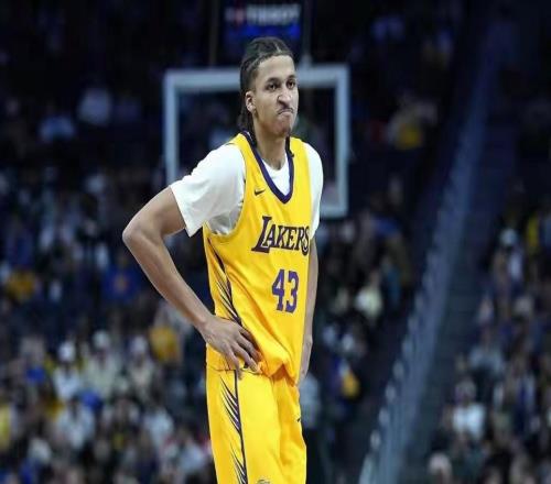 卡梅伦卡尔26分8板1助NBA洛杉矶湖人9391险胜迈阿密热火