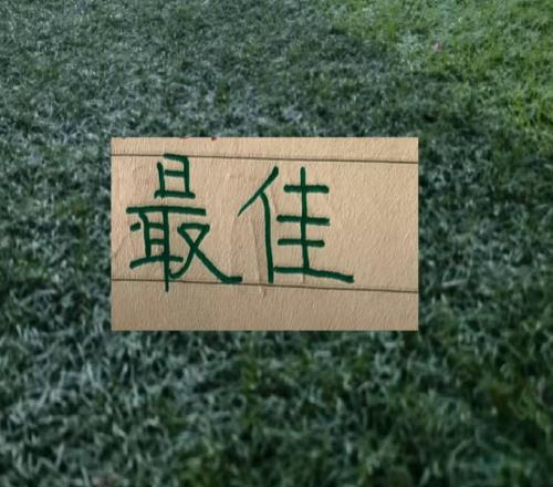 中超公布！第17轮官方最佳球员评选北京国安有2个球员入围