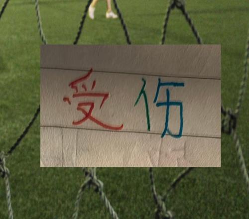 不单申花遭遇伤病困扰山东泰山跟领头羊成都也有外援上不了场