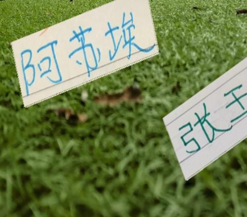 今年中超被激活球员有申花阿苏埃北京国安张玉宁重庆的阿马杜