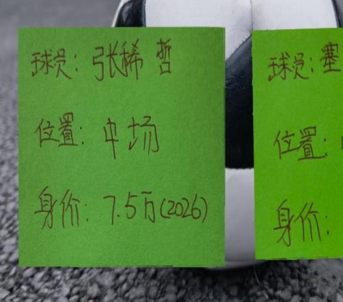 中超官方5月最佳阵容！北京国安两个30岁+老将塞鸟跟张稀哲入围