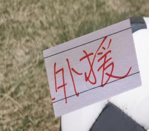去年中超前4！申花跟海港已启动第6外援北京国安跟成都蓉还没动静