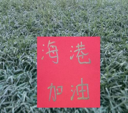 第19轮第一个比赛日！别人家都是外援进球卫冕冠军海港是本土球员进球