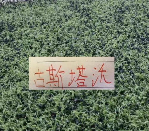 第19轮第一个比赛日还是巴西外援进球多！